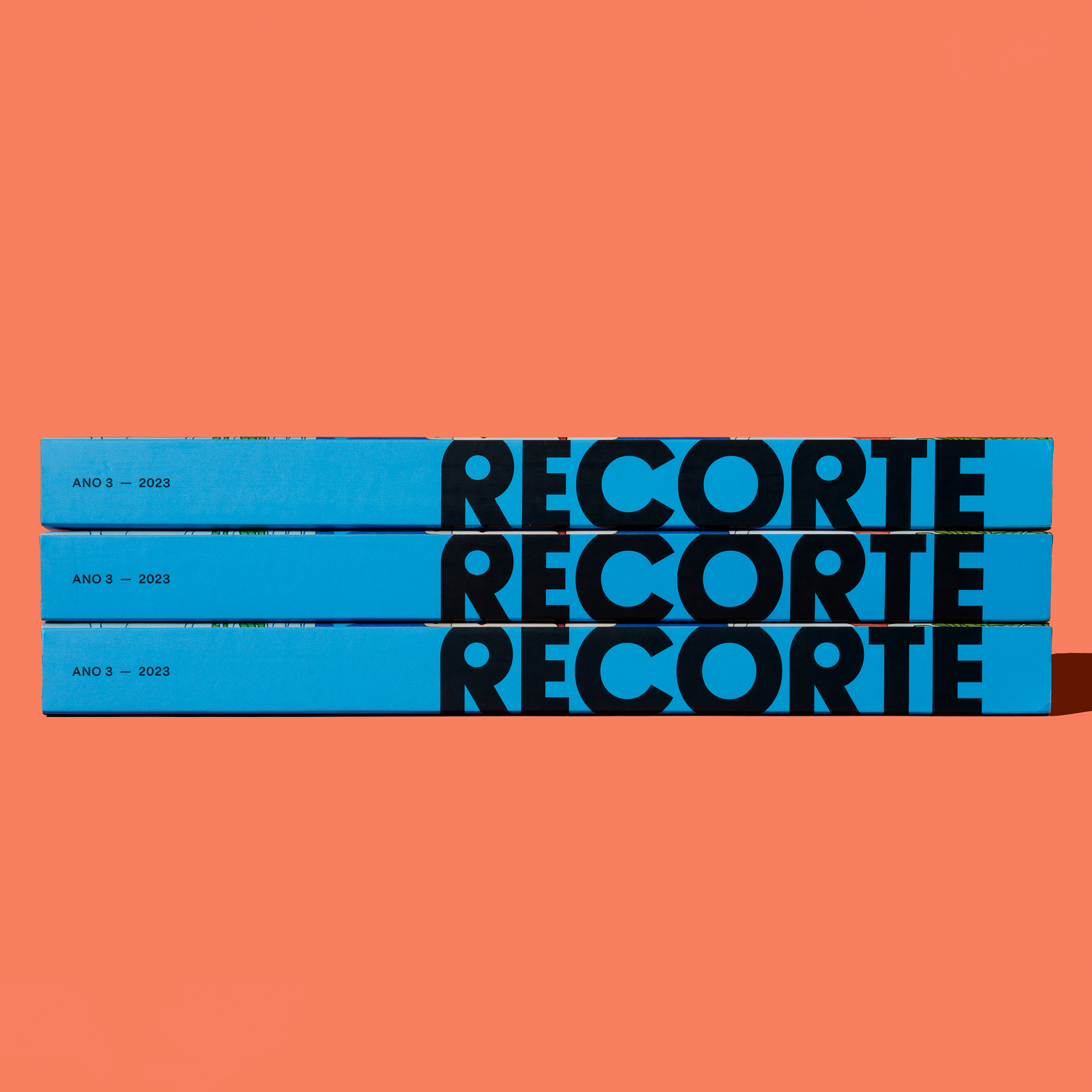 Revista Recorte #3