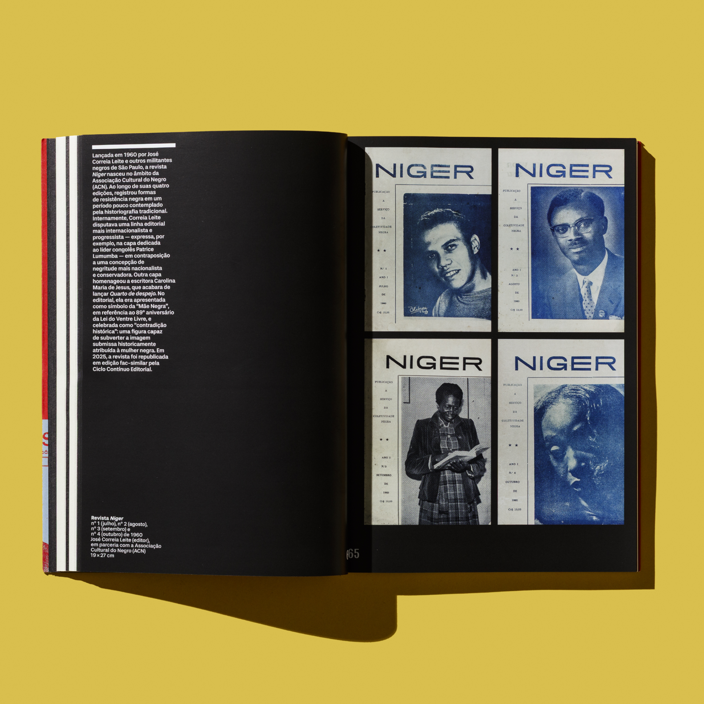 Design Global, Crítico, Negro e Prático