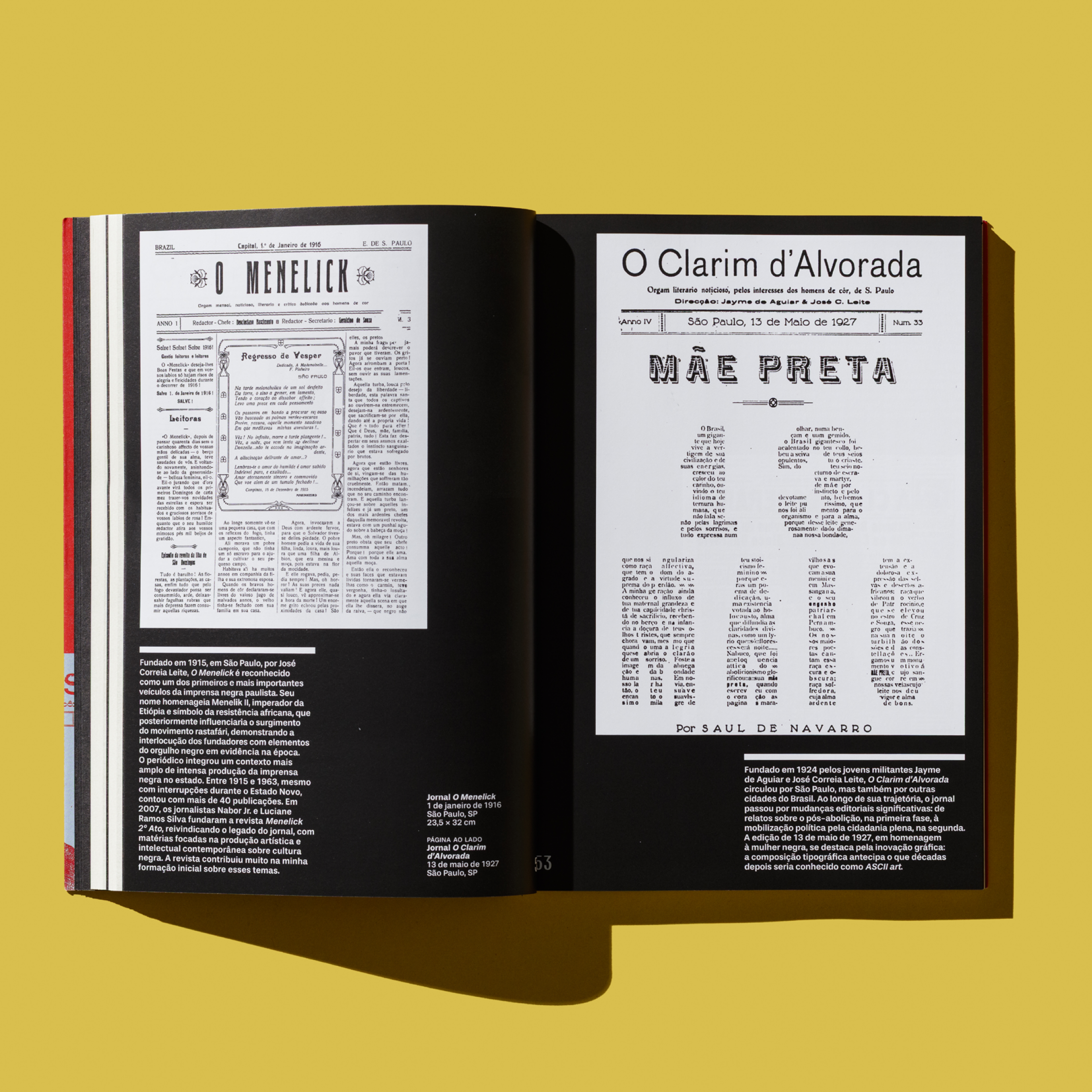 Design Global, Crítico, Negro e Prático